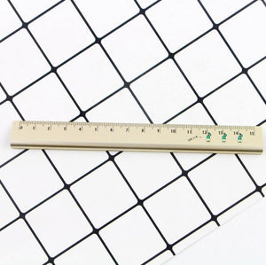 Pocket Cactus Trigone Metal Ruler